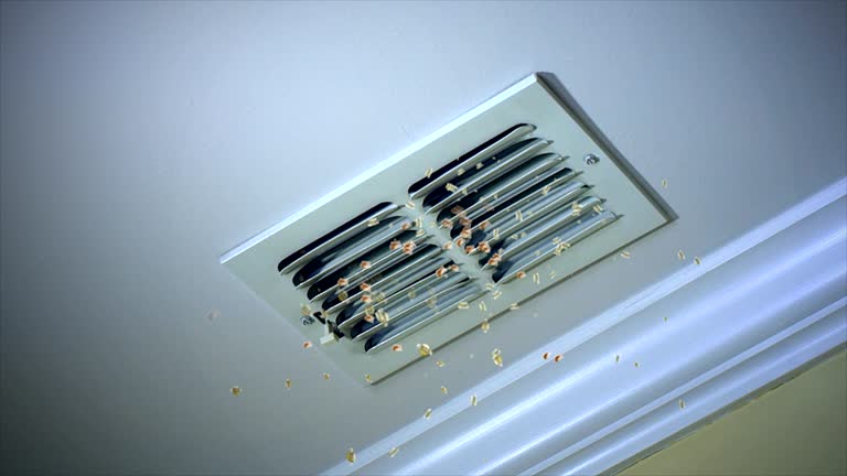 Best Air Duct Cleaning Company Near Me  in Augusta, WI