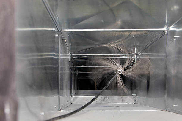 Best Air Duct Mold Removal  in Augusta, WI