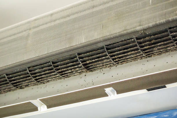 Best HVAC Duct Inspection Services  in Augusta, WI