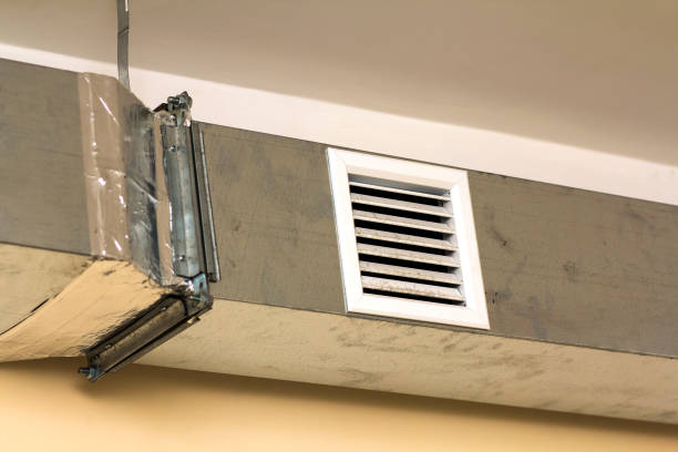 Air Duct Mold Removal in WI